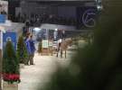 CAVALIADA 2013 w Poznaniu