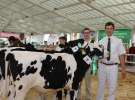 Wystawa bydła Sielinko 2011