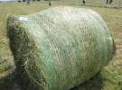 Zielone Agro Show pokaz maszyn rolniczych
