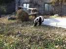 Gospodarz.pl w Chinach