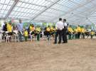 Mali hodowcy na XVII Regionalnej Wystawie Zwierząt Hodowlanych Sielinko 2011