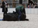 CAVALIADA 2013 w Poznaniu