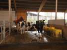 Wyjazd studyjny na farmę Langengrassau w Niemczech