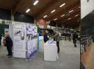 Wystawa  Blickpunkt Rind 2013 w miejscowości Paaren/Glien (Niemcy)