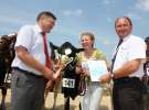 Superchampioni i championi Śląskiej Wystawy Bydła Mlecznego Opolagra 2011