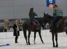 CAVALIADA 2013 w Poznaniu
