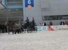 CAVALIADA 2013 w Poznaniu