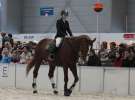 CAVALIADA 2013 w Poznaniu