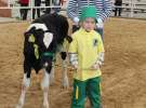 Mali Hodowcy VII Ogólnopolska Wystawa Bydła Hodowlanego w Sielinku 2012