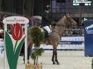 CAVALIADA 2013 w Poznaniu