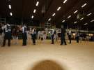 Wystawa  Blickpunkt Rind 2013 w miejscowości Paaren/Glien (Niemcy)