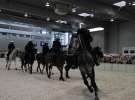 CAVALIADA 2013 w Poznaniu
