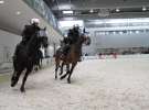 CAVALIADA 2013 w Poznaniu