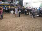 Młody Hodowca - Szepietowo 2012 XIX Regionalna Wystawa Zwierząt Hodowlanych