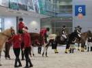 CAVALIADA 2013 w Poznaniu
