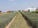 Polskie Zboża 2011 - Sobota