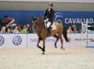 CAVALIADA 2013 w Poznaniu