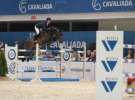 CAVALIADA 2013 w Poznaniu