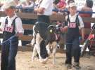 Młody Hodowca - Szepietowo 2012 XIX Regionalna Wystawa Zwierząt Hodowlanych