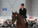 CAVALIADA 2013 w Poznaniu