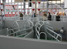 Polnet FARMA Poznań 2011