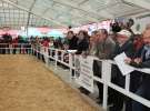 VII Ogólnopolska Wystawa Bydła Hodowlanego - Sielinko 2012