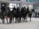 CAVALIADA 2013 w Poznaniu