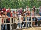 Wystawa Koni Sielinko 2011