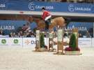 CAVALIADA 2013 w Poznaniu