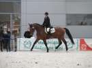 CAVALIADA 2013 w Poznaniu