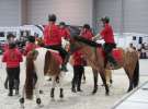 CAVALIADA 2013 w Poznaniu