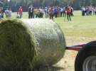 Zielone AGRO SHOW – POLSKIE ZBOŻA 2014 w Sielinku - sobota