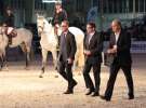 CAVALIADA 2013 w Poznaniu