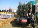 Agro Show 2011 Zdjęcia z Motorem Sobota