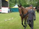 Wystawa Koni Sielinko 2011