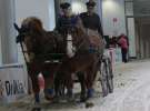 CAVALIADA 2013 w Poznaniu