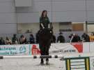 CAVALIADA 2013 w Poznaniu