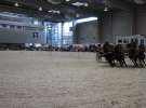 CAVALIADA 2013 w Poznaniu