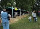 XX Targi Rolnicze Lubniewice 