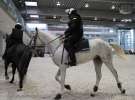 CAVALIADA 2013 w Poznaniu