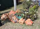 XX Agro-Targi 2011 w Starej Łubiance