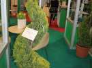 V Międzynarodowe Targi Ogrodnicze Gardenia 2011