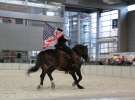 CAVALIADA 2013 w Poznaniu