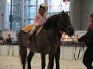 CAVALIADA 2013 w Poznaniu