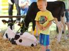 Zielone AGRO SHOW – POLSKIE ZBOŻA 2014 w Sielinku - niedziela