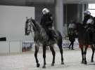CAVALIADA 2013 w Poznaniu