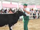 Wystawa bydła Sielinko 2011