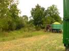 Kiszonka 2013