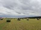 Pokazy maszyn Polskie Zboża Zielone Agro Show 2013