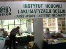 XIX Krajowe Dni Ziemniaka w Marszewie